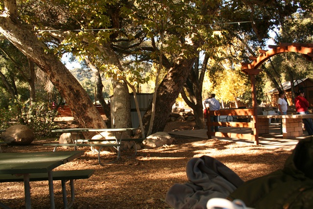 [Picture4272.jpg]