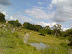Image120.jpg