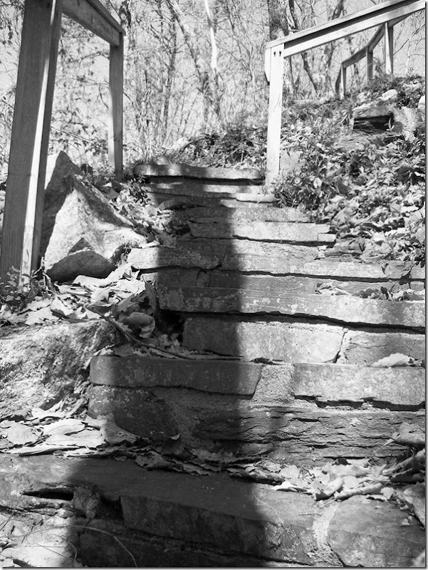steps b-w vers