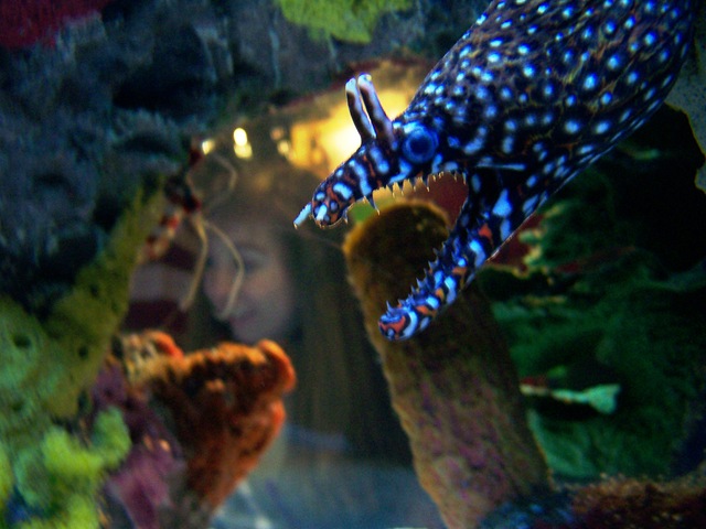 [vacation 2009141-lt[3].jpg]