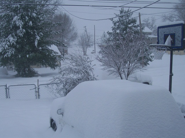 [Snow 052[11].jpg]