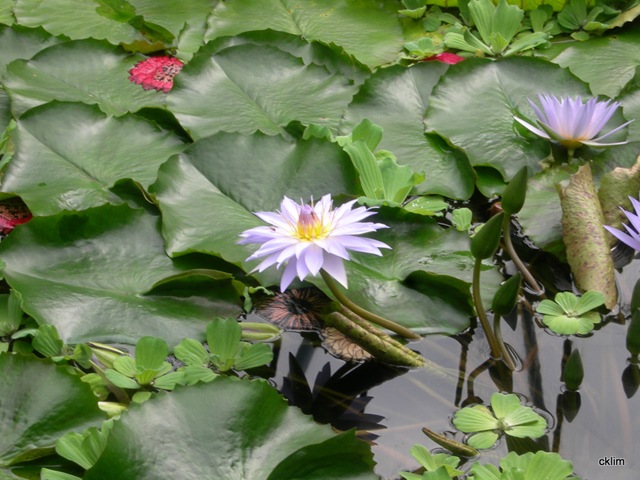 [DSCN77252.jpg]