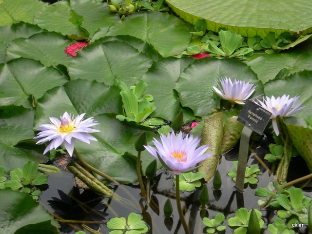 [DSCN77272.jpg]