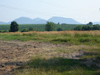 DSC02572.JPG