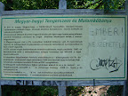 DSC02574.JPG