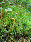 DSC02589.JPG