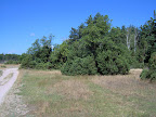 IM000905.JPG