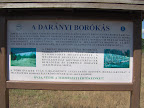 IM000906.JPG
