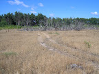 IM000907.JPG