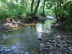 DSC02694.JPG