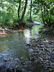 DSC02693.JPG