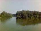 Kép(91).jpg