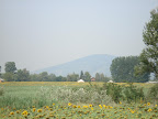 DSC00456.JPG