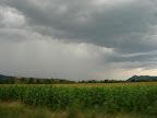 DSC08543.JPG