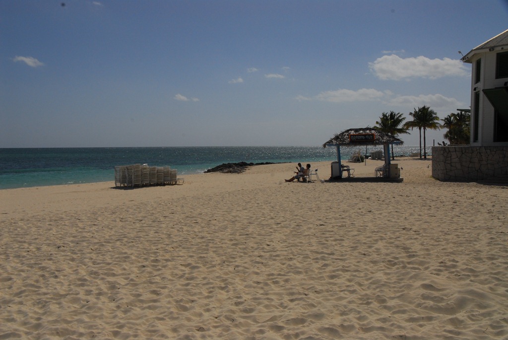 [DSC_41743.jpg]