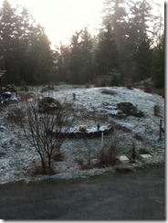 snow2 snow2