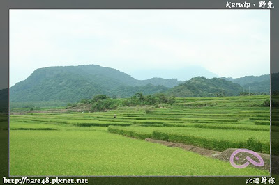 [花蓮] 北迴歸線還有民宿｜花東旅三