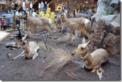 Cabela's visit21 Cabela's visit21