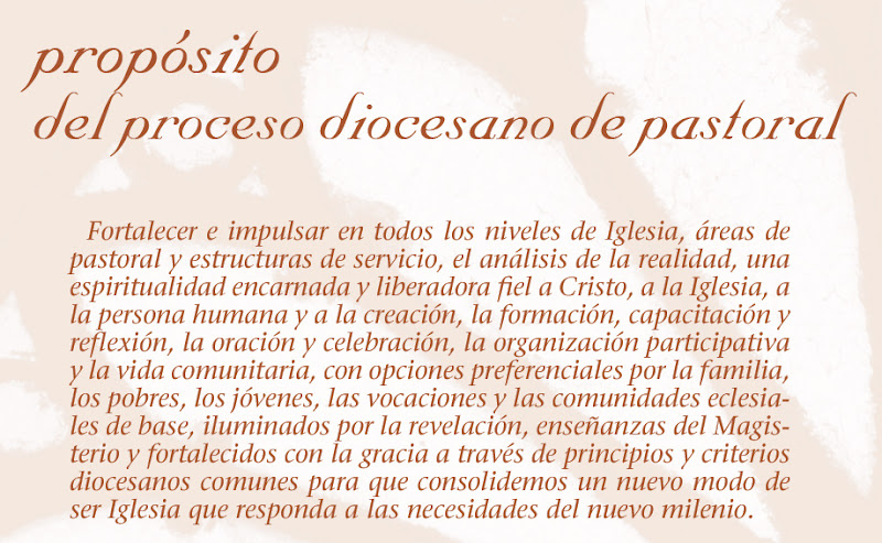 Propósito del proceso diocesano 2010
