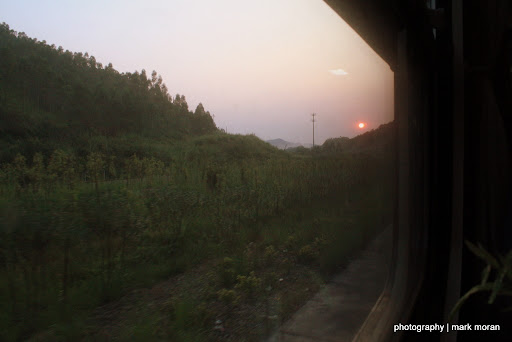 IMG_9787.JPG