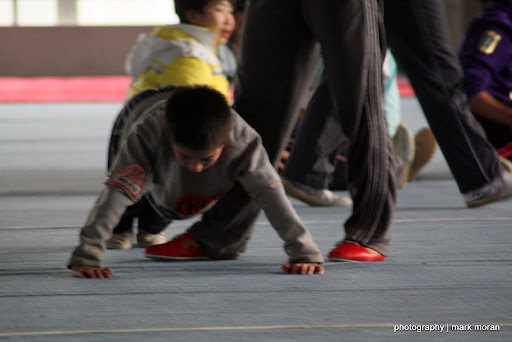 pushup conditioning (11/23)