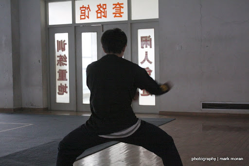 practicing nanquan (11/23)