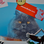 Business Cards