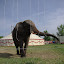 pixelhorse snapshots