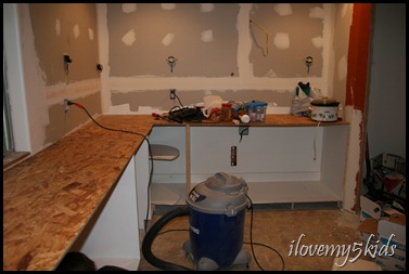 DIY Kitchen Remodel-Bottom Cabinets