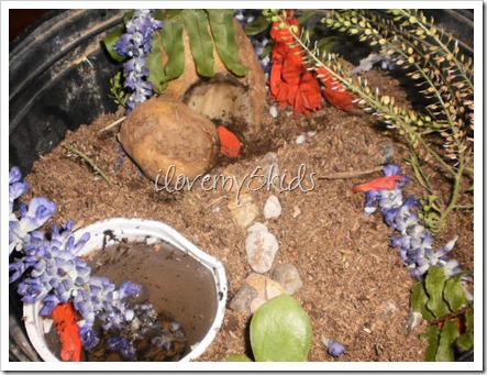 Resurrection Garden in a pot