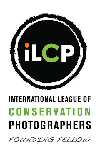 Park Foundation and prior Telluride Foundation Logo. Park Foundation and prior