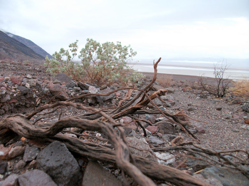 DSCF0661.JPG