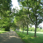 Bruinisse omgeving