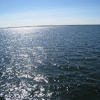 Bruinisse omgeving