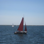 Bruinisse omgeving