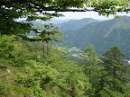 View Photo