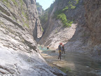 View Photo