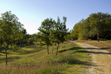 park park