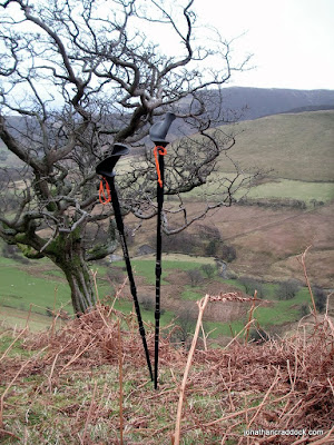 Pacer Poles on the climb to Knott Rigg