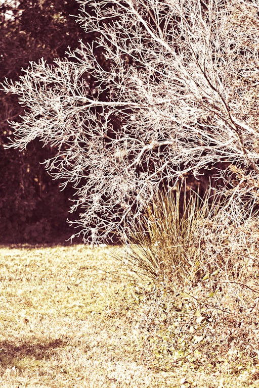 [andimansphotography9.jpg]