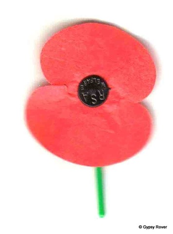 [nz-poppy[2].jpg]
