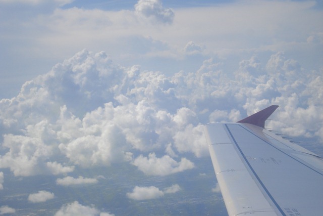 [Never The Same 2010 098[2].jpg]