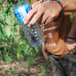 DSC_0665 - Copie.JPG