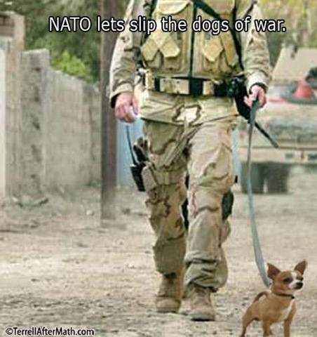 [dogsofwary[3].jpg]