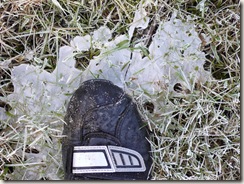 groba_helada groba_helada