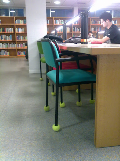 Novedad en la biblioteca