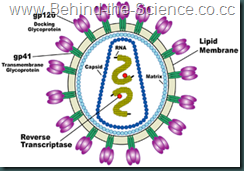 300px-HIV_Virion-en-2