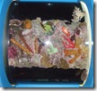 DSCF0252 DSCF0252