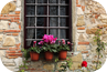 Windows Filettole Windows Filettole