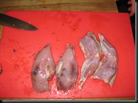 IMG_5375 IMG_5375